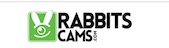 rabbits cams